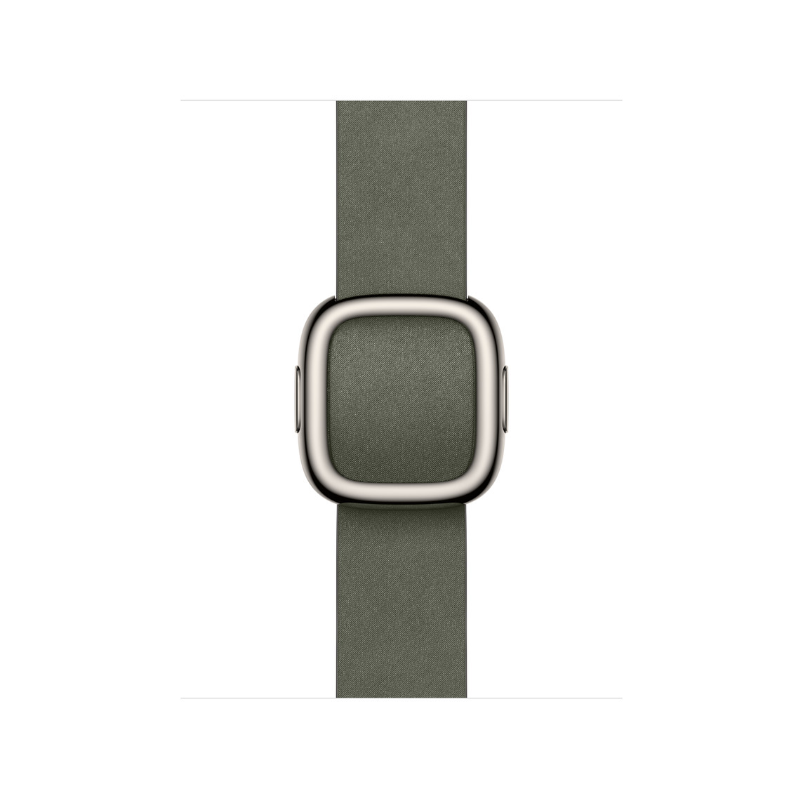 Apple Watch 42mm Modern Buckle: Sage Gray Modern Buckle - Small