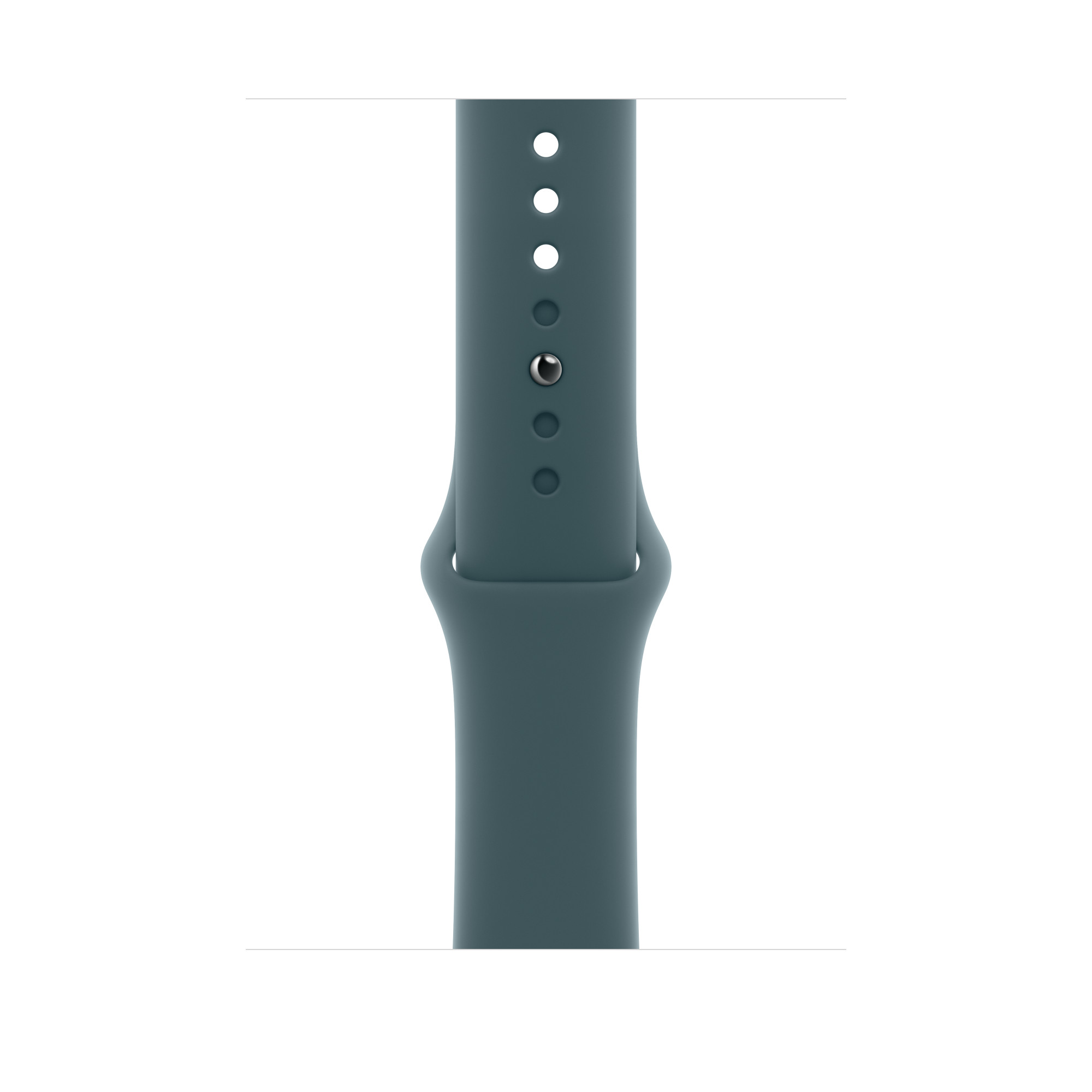 Apple Watch 42mm Sport Band: Lake Green Sport Band - M/L (Seasonal)