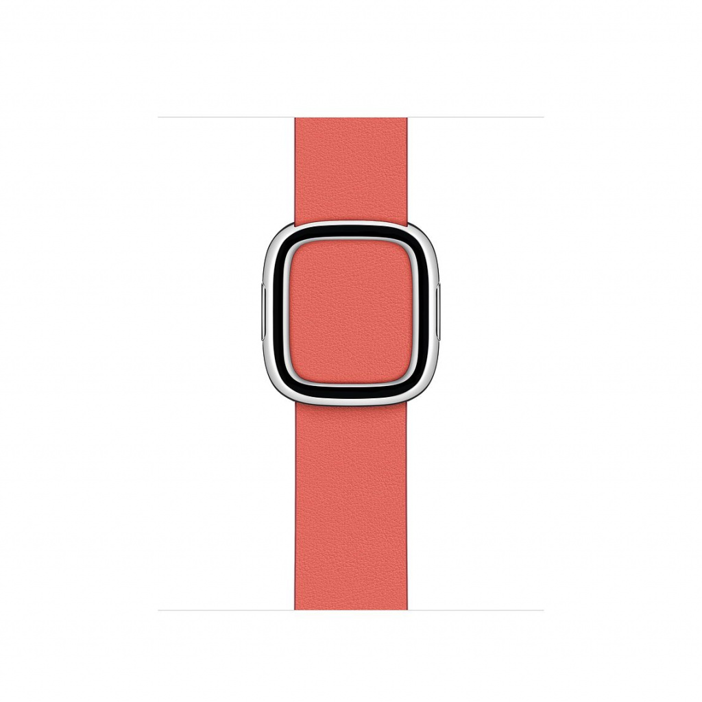 Apple Watch 40mm Band Pink Citrus Modern Buckle Medium (Seasonal Fall 2020)